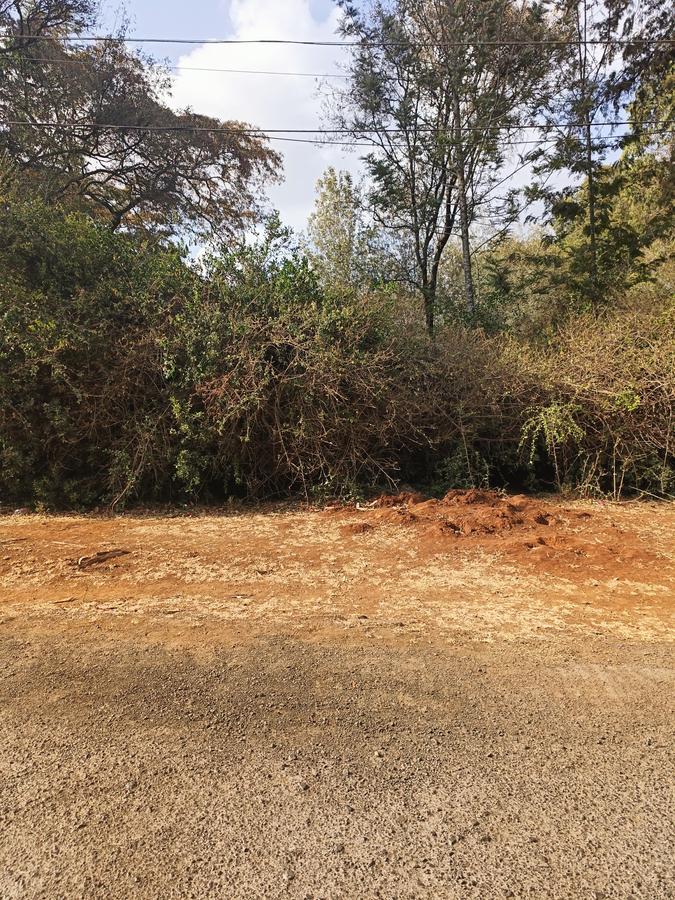 Residential Land at Tumbili Road - 4