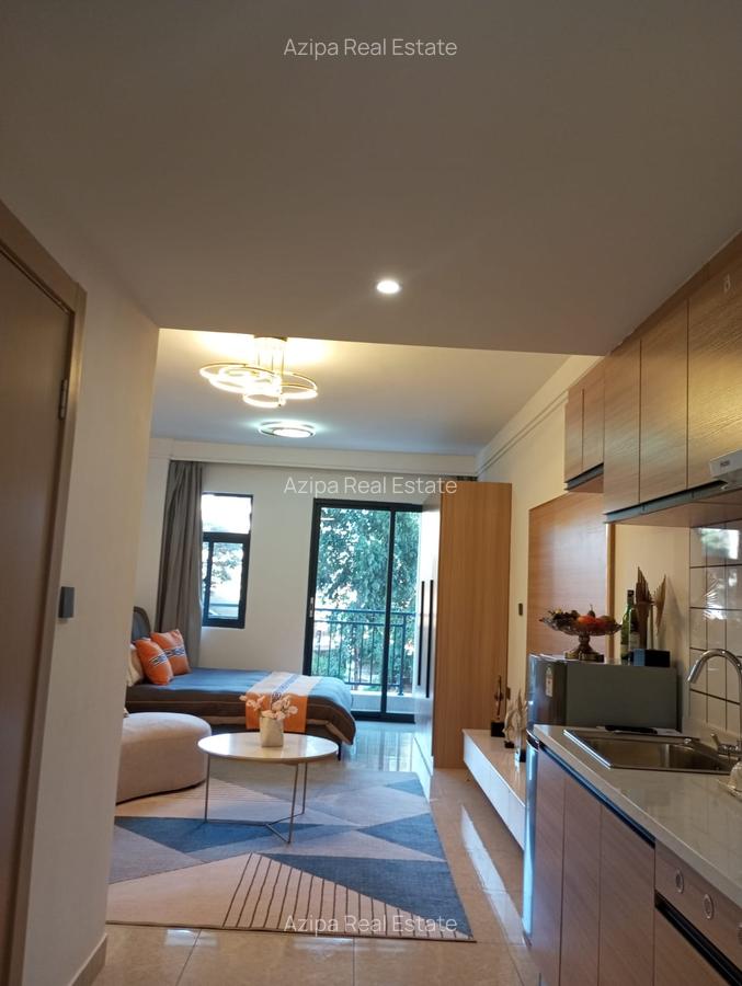 Serviced Studio Apartment with En Suite in Ruaka - 3