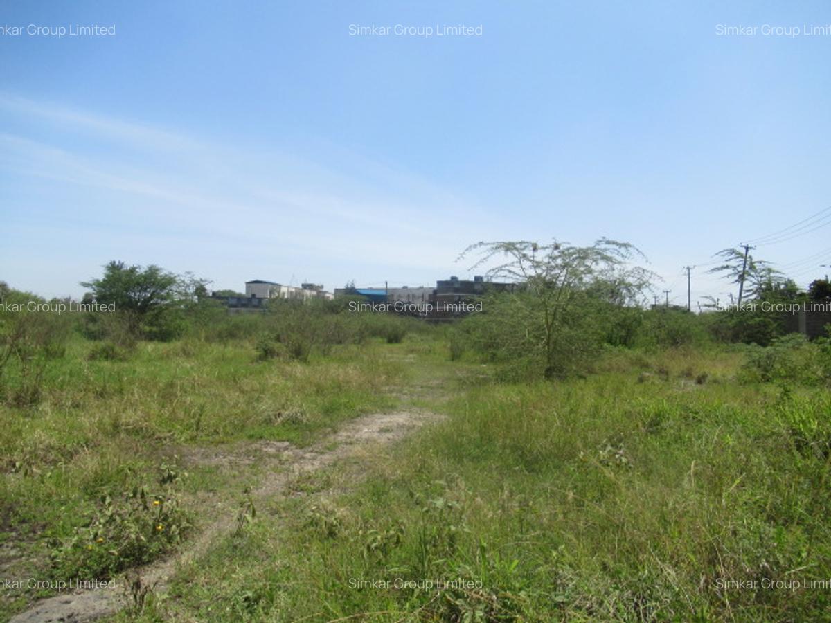 Land at Nyasa Rd - 1