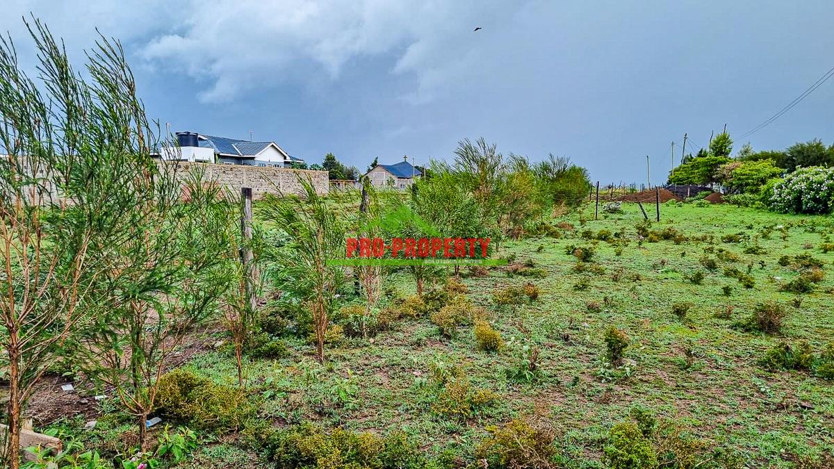 0.05 ha Residential Land in Nanyuki - 4