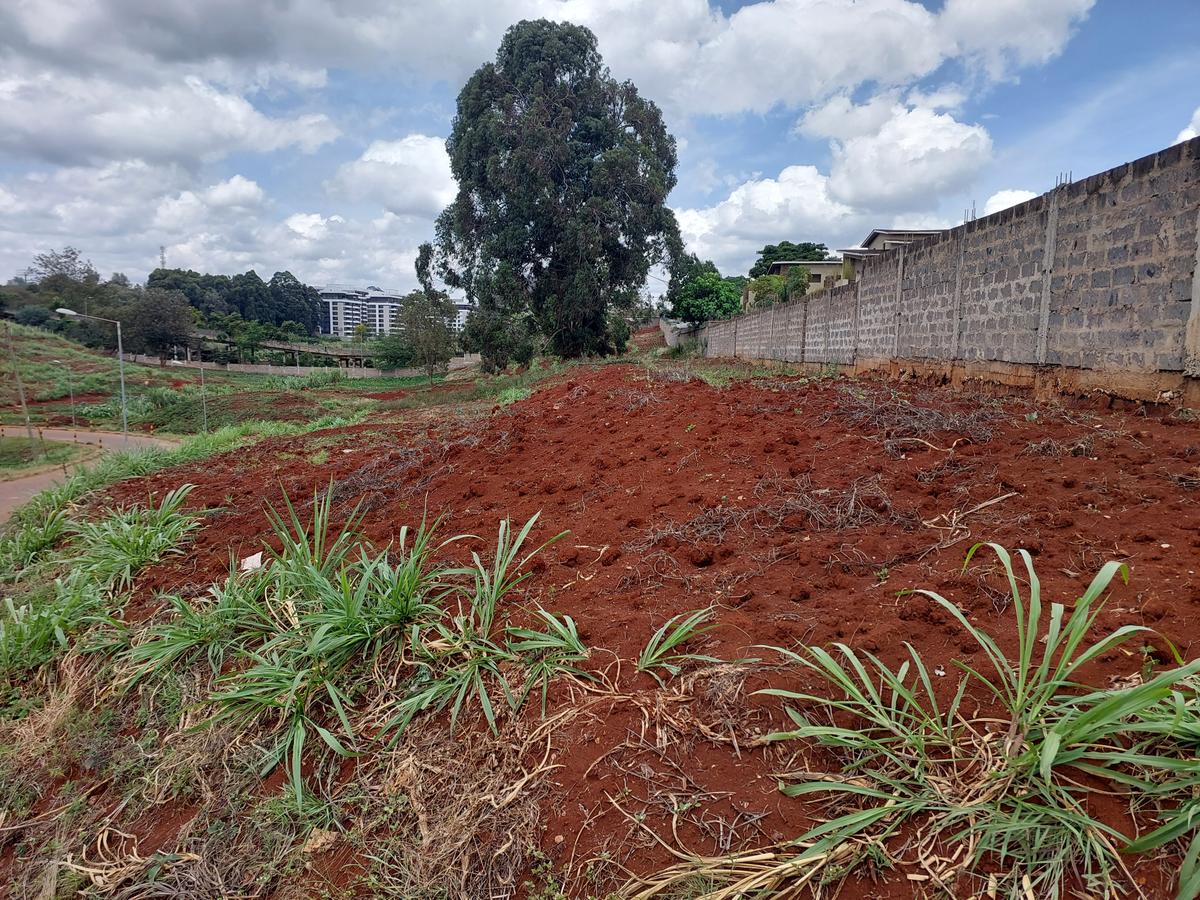 Residential Land at Rosslyn Valley - 9