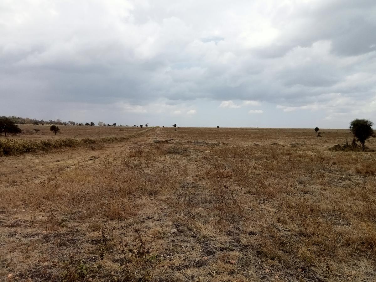 Commercial Land at Konza - Malili - 3