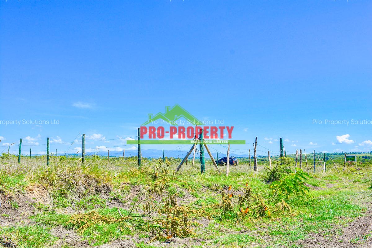 0.05 ha Residential Land at Naromoru - 7