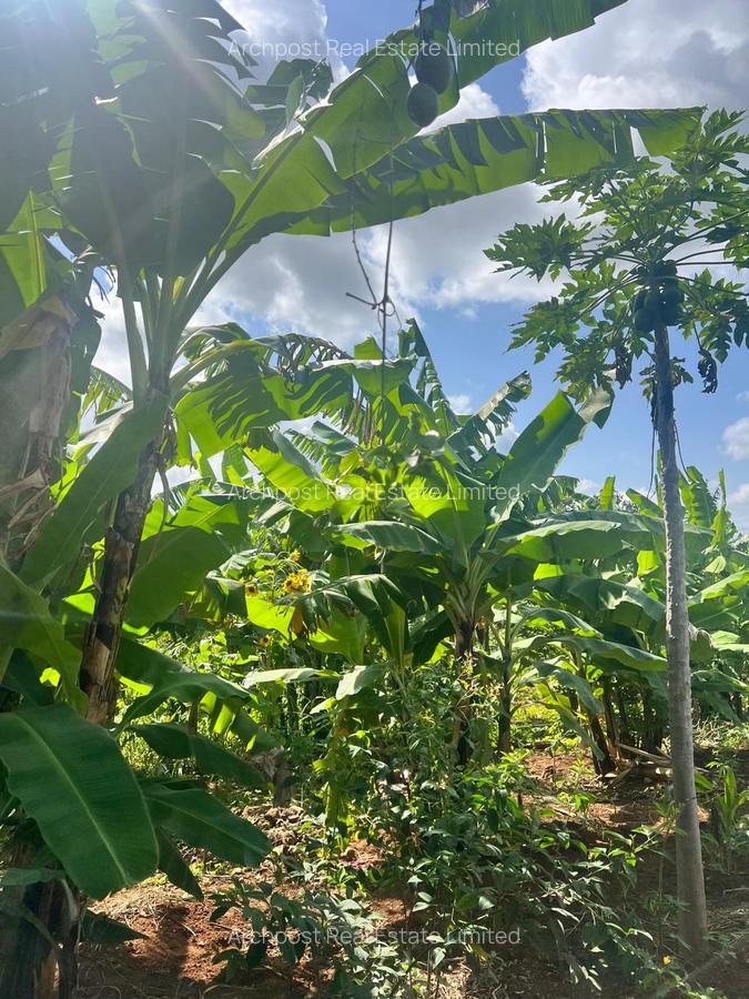 2 ac Land at Karingani - 3