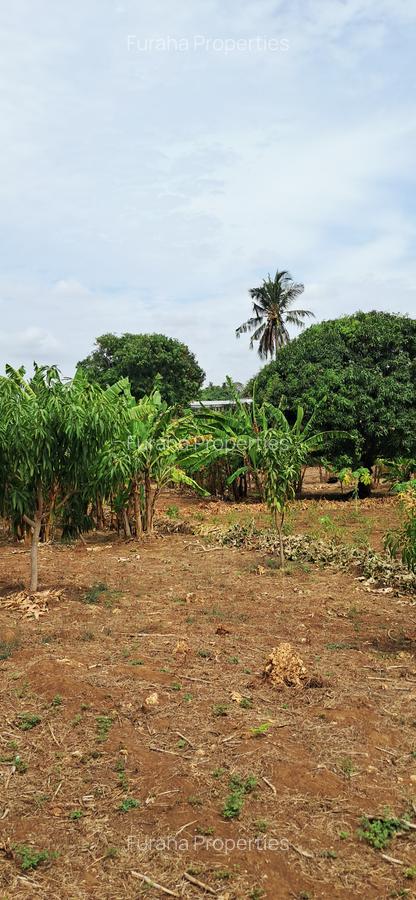 8 Bed House with En Suite at Kikambala - 16