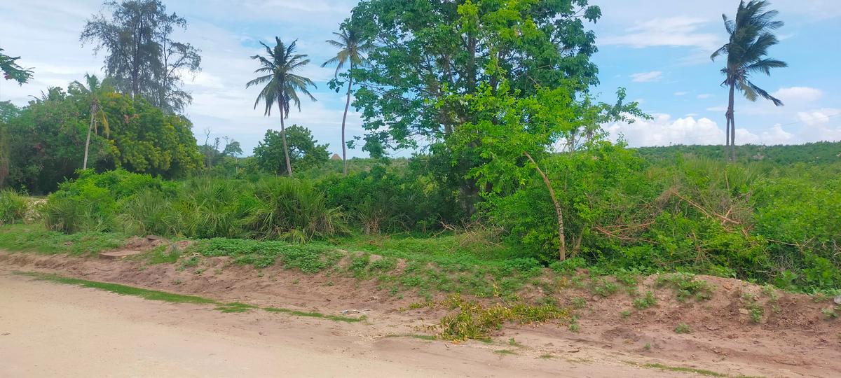 10 ac Land at Majengo - 15