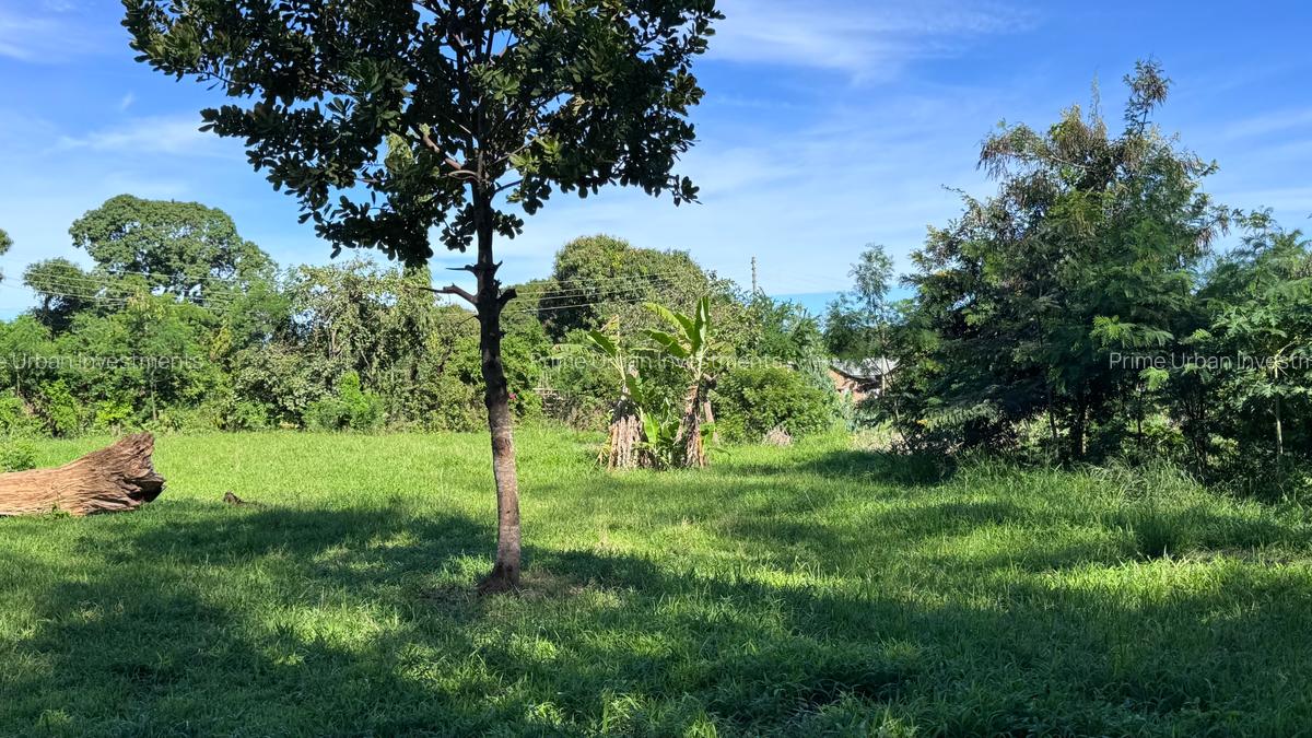 2 ac Land at Mtwapa - Animo - 6