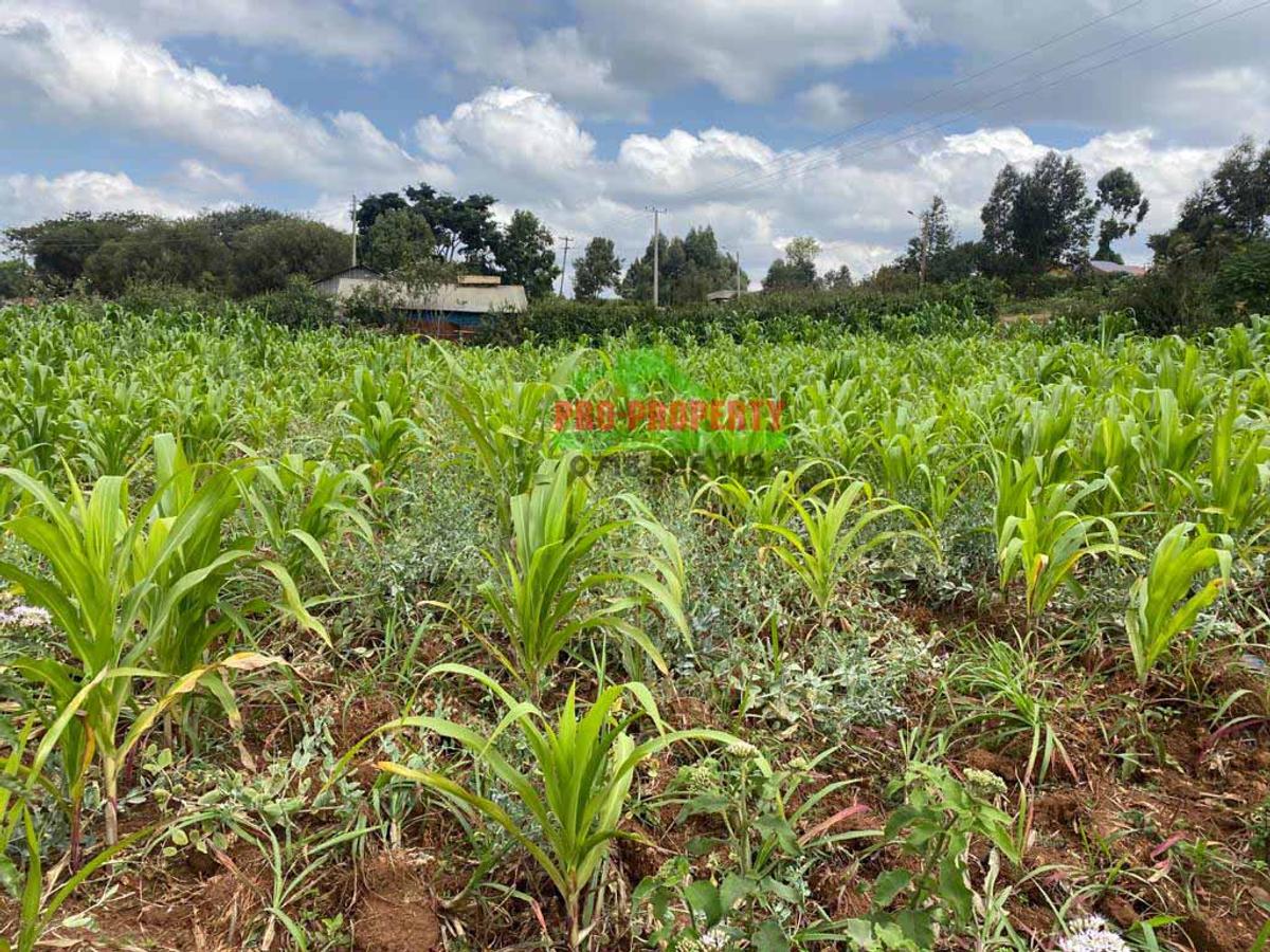 0.1 ha Commercial Land in Kikuyu Town - 9