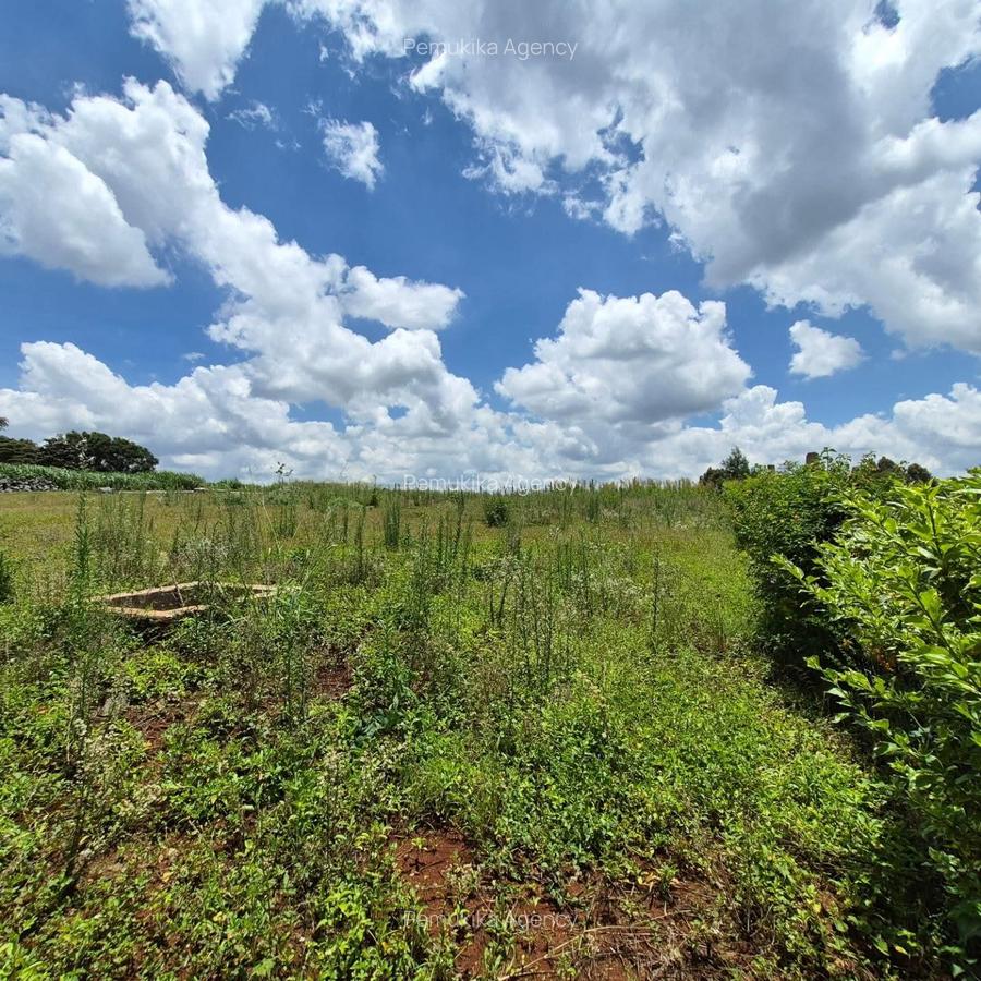 Residential Land in Runda - 4