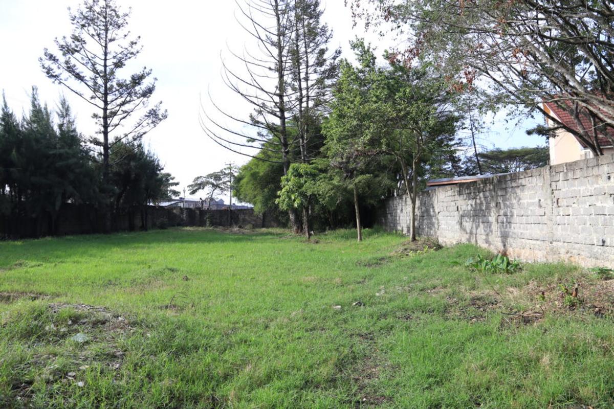 Residential Land in Lavington - 1