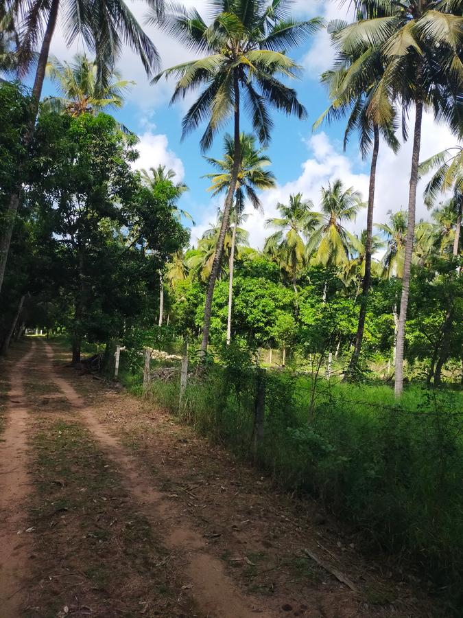 Land in Kilifi County - 2