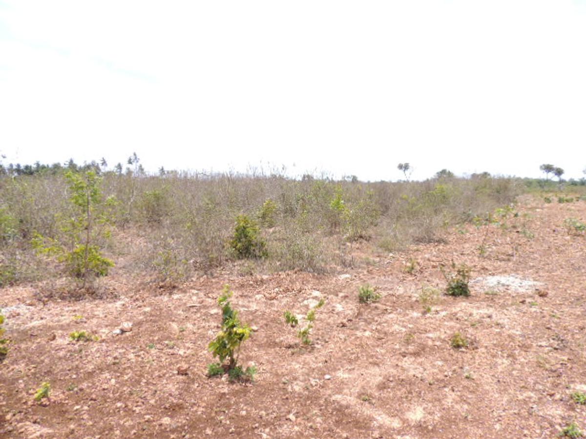 0.25 ac Residential Land at Diani Beach Road - 6