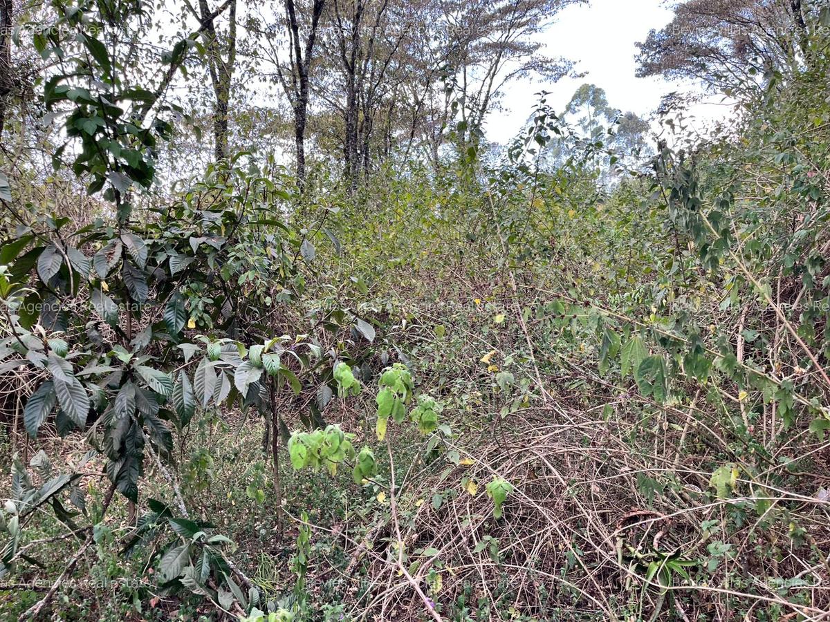 Commercial Land at Karen - 4