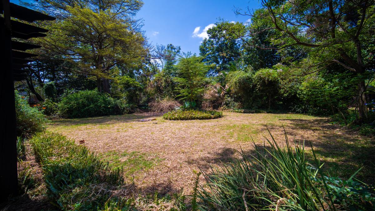 Residential Land in Lavington - 3