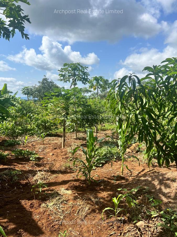 2 ac Land at Karingani - 5