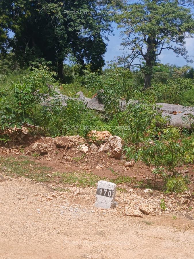 1,000 m² Residential Land at Vipingo - Kuruwitu - 12