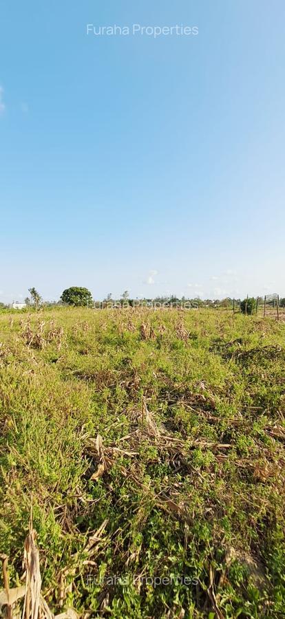 Land in Kilifi - 10