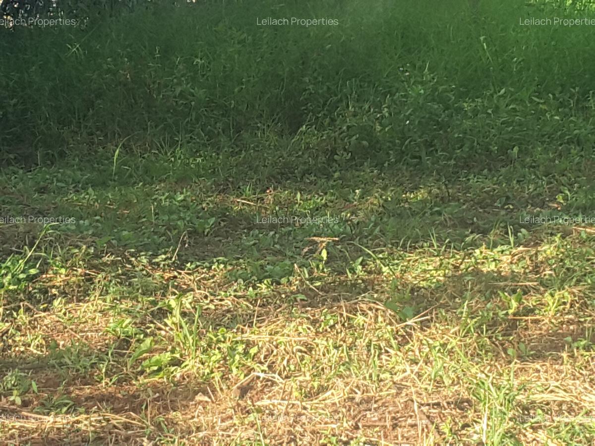 1.2 ac Land in Ngong - 5