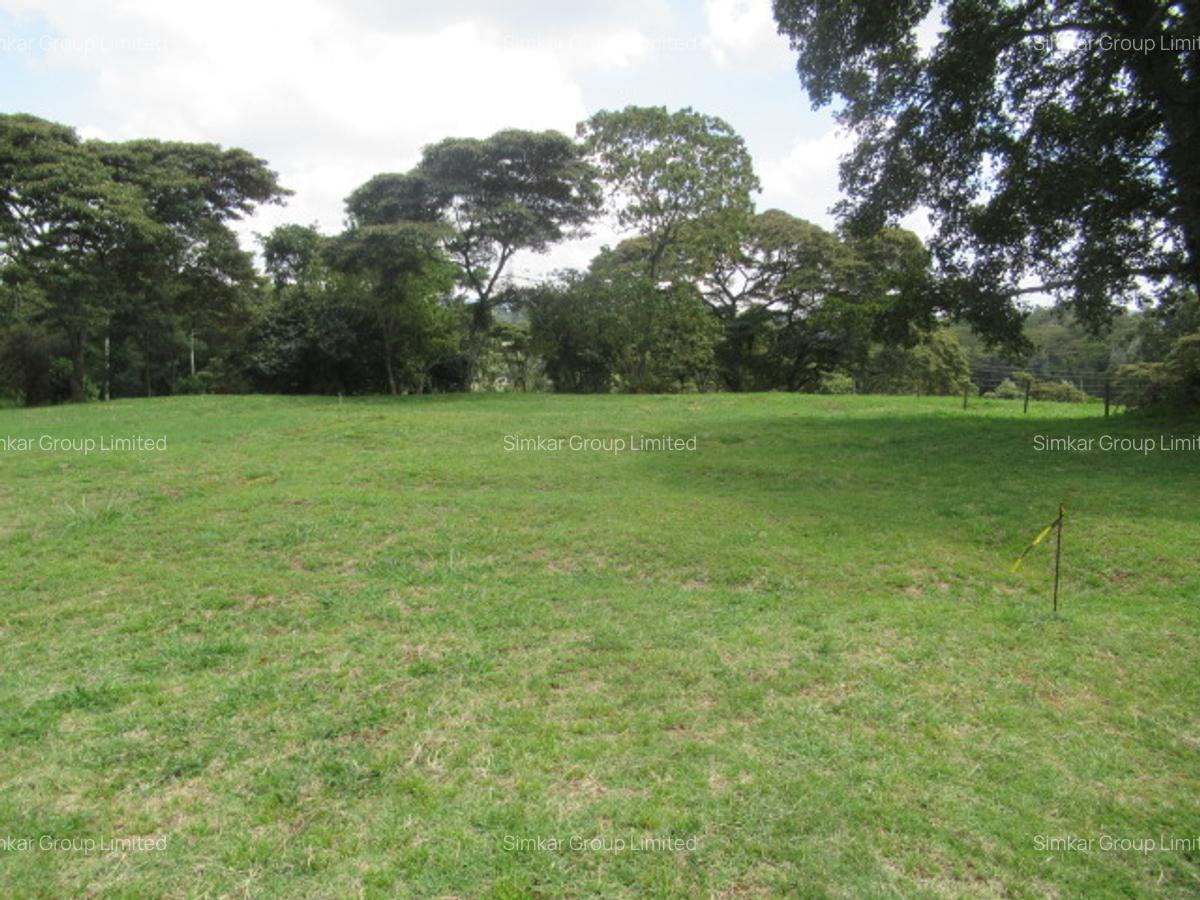 Residential Land at Karen - 14