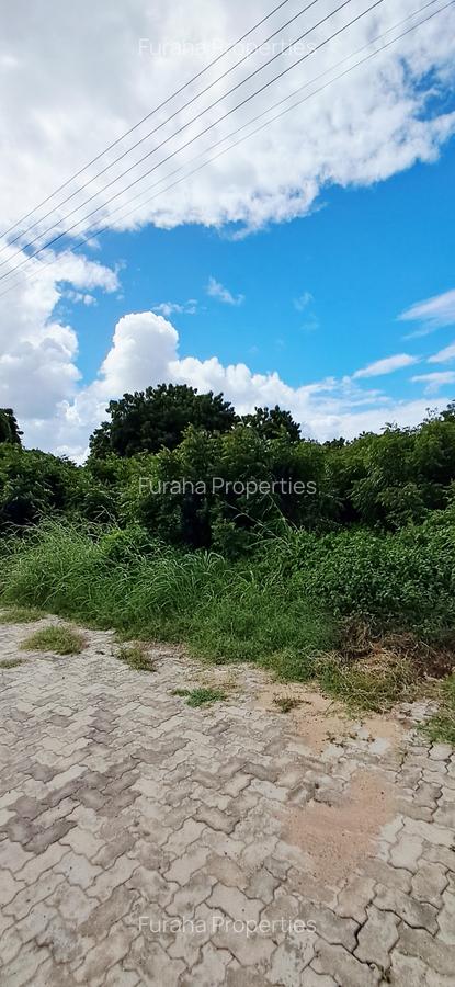 Land at Malindi - 8