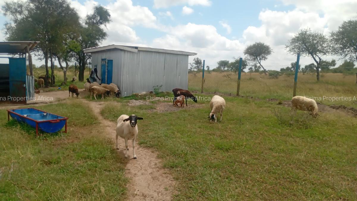 450 m² Land at Sajiloni - 6