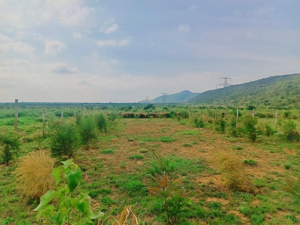 500 m² Residential Land at Ndiuni - 4