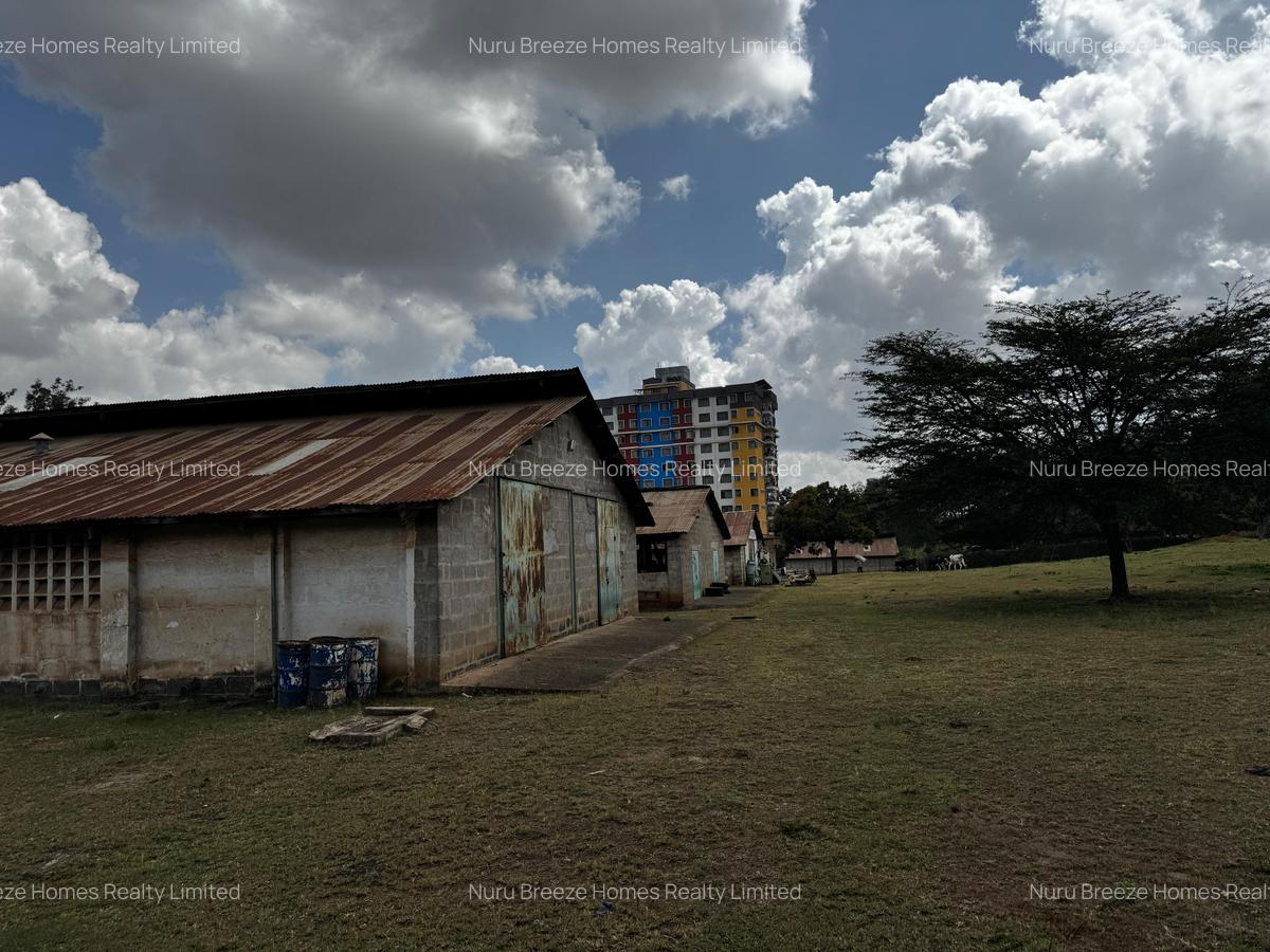 5.2 ac Land in Mirema - 14