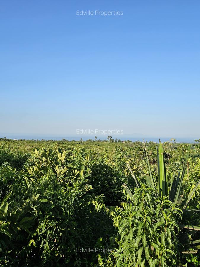 Residential Land at Riat - 7