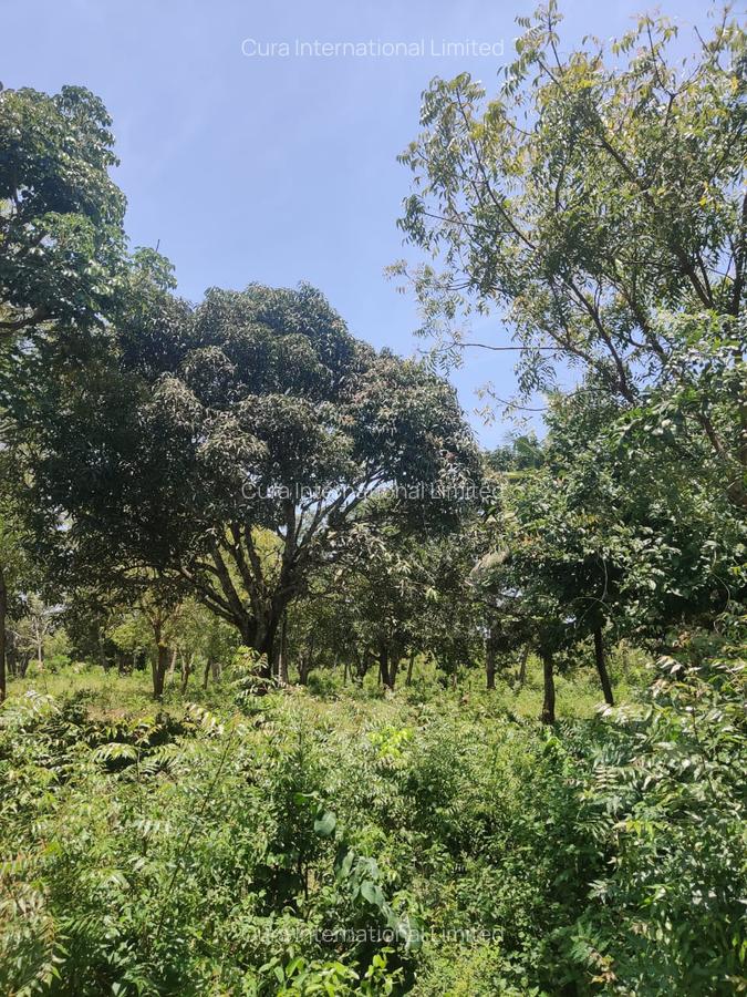 0.25 ac Land in Diani - 6