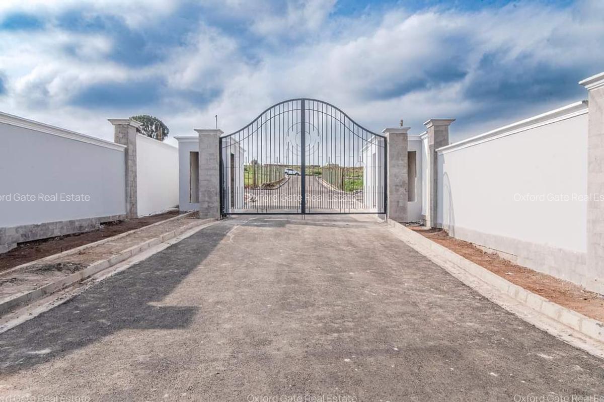 Land at Limuru Road - 1