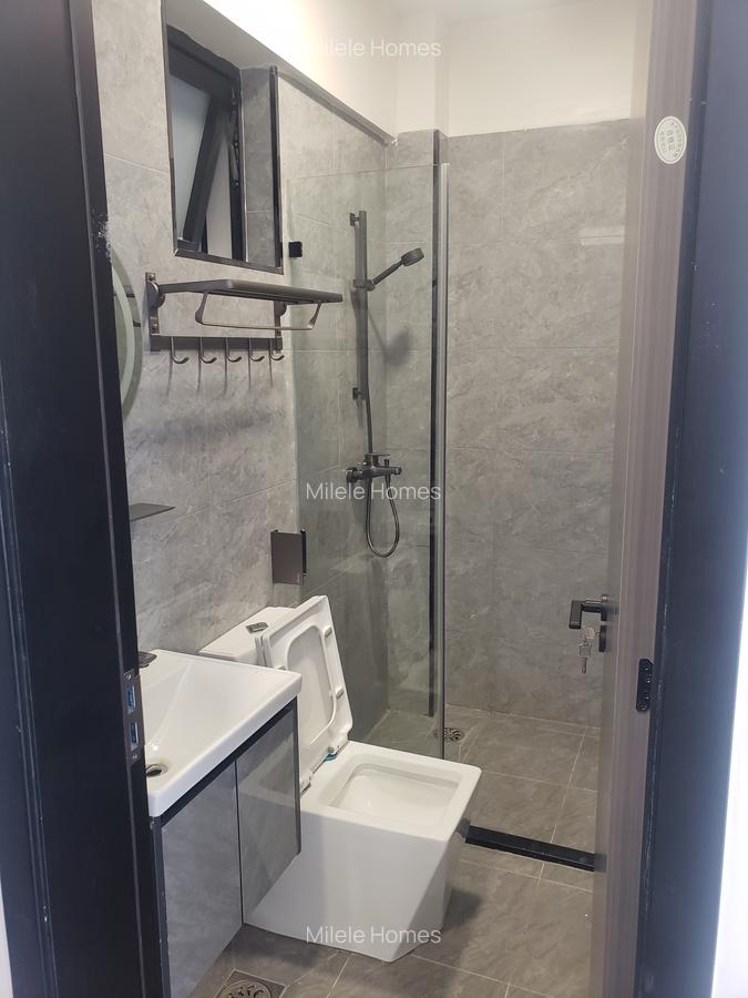 Serviced 2 Bed Apartment with En Suite at Mararo Road - 17