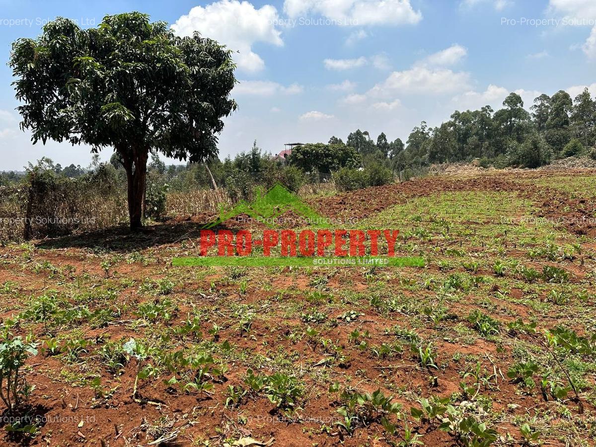 Land at Gikambura - 8