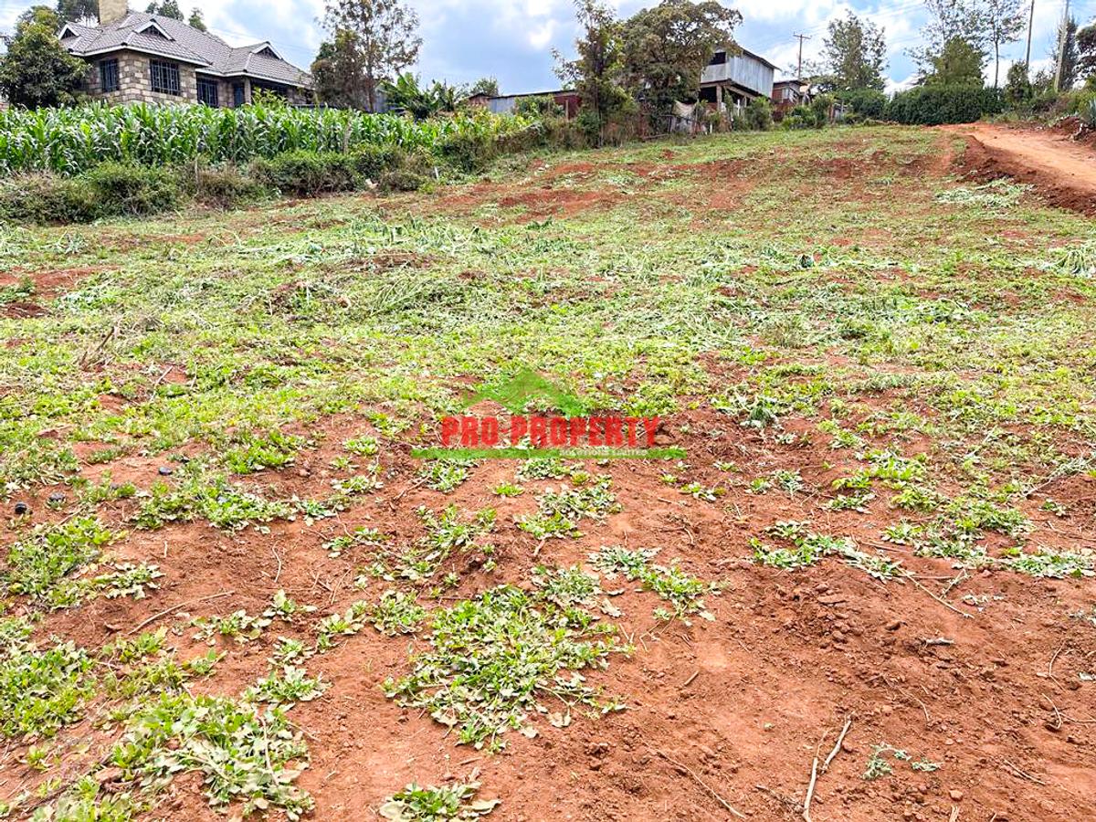 0.05 ha Residential Land at Ondiri - 4