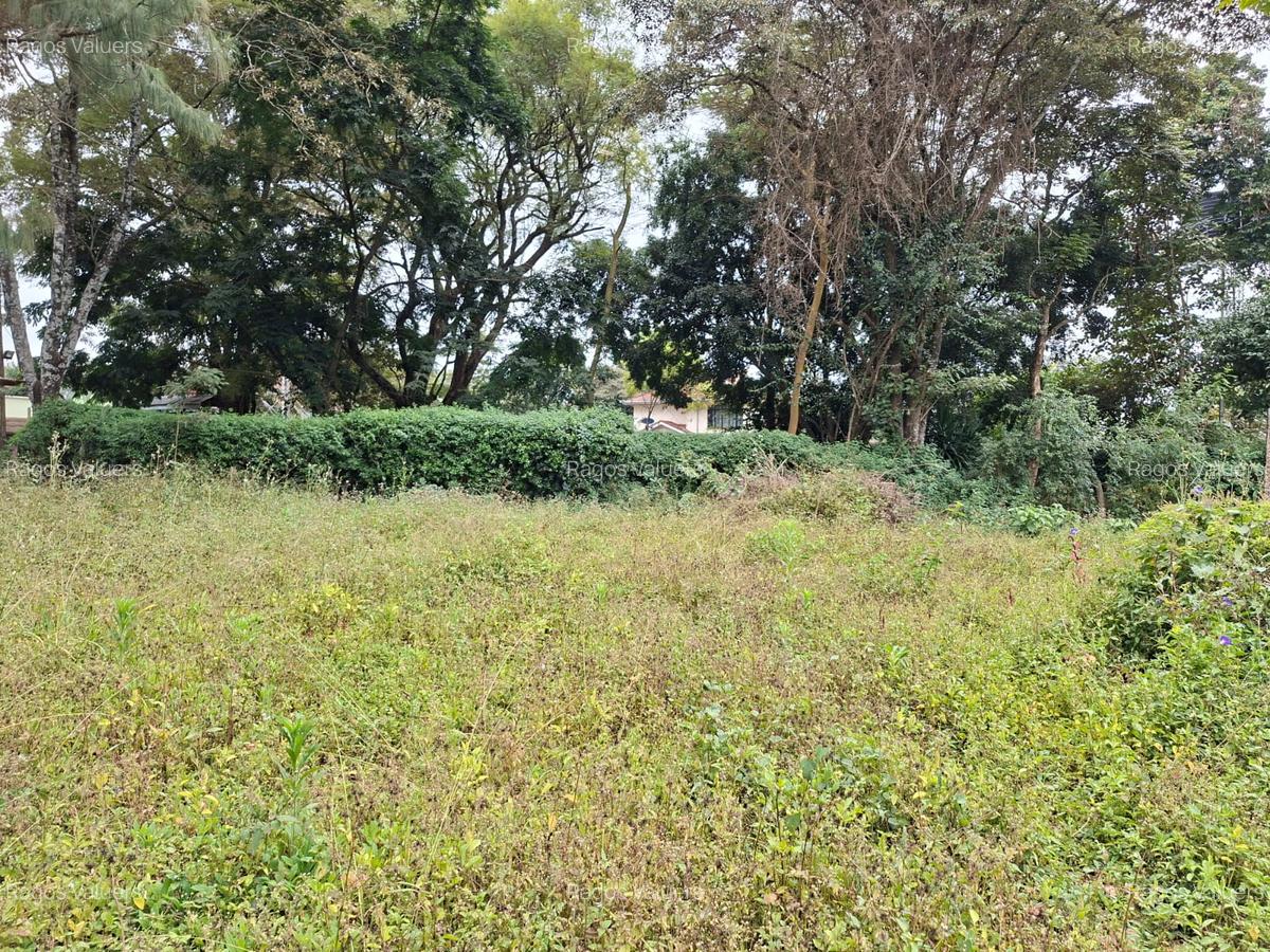 0.5 ac Land at Hillcrest Road - 1