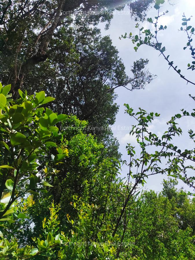 Residential Land at Hardy - 2