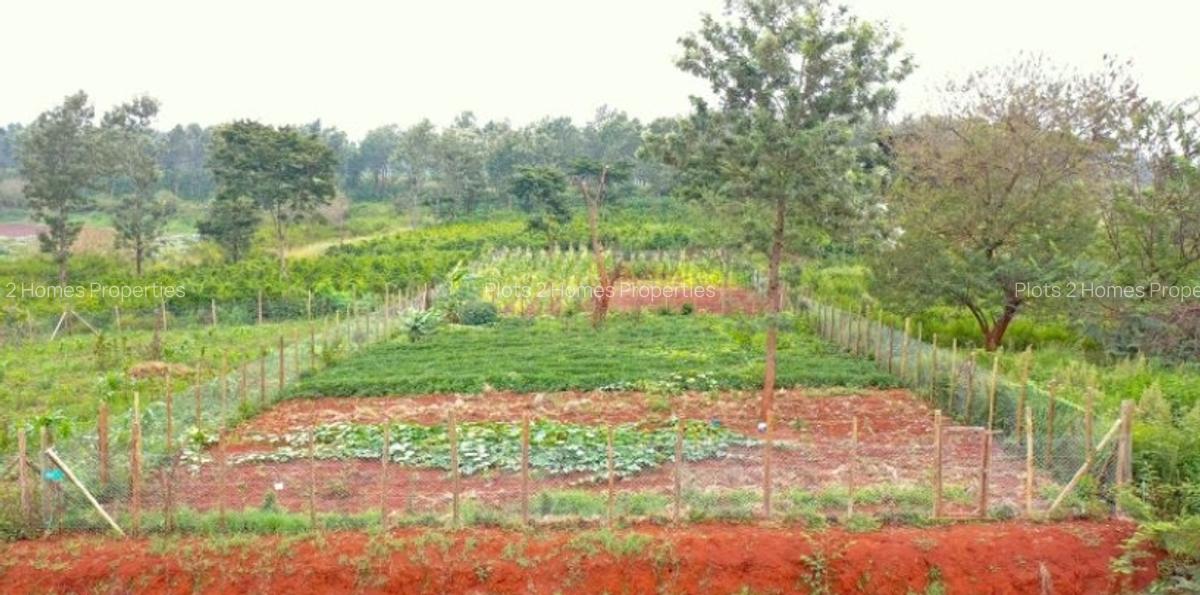 1,000 m² Residential Land at Oaklands Estate - 10