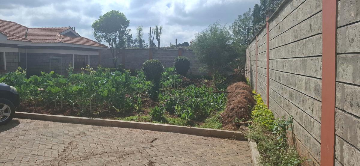 4 Bed House with En Suite in Ngong - 5