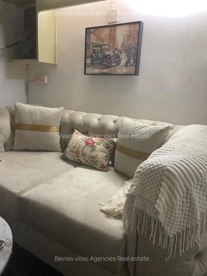 Furnished 1 Bed Apartment with Borehole at Raphta Road - 2