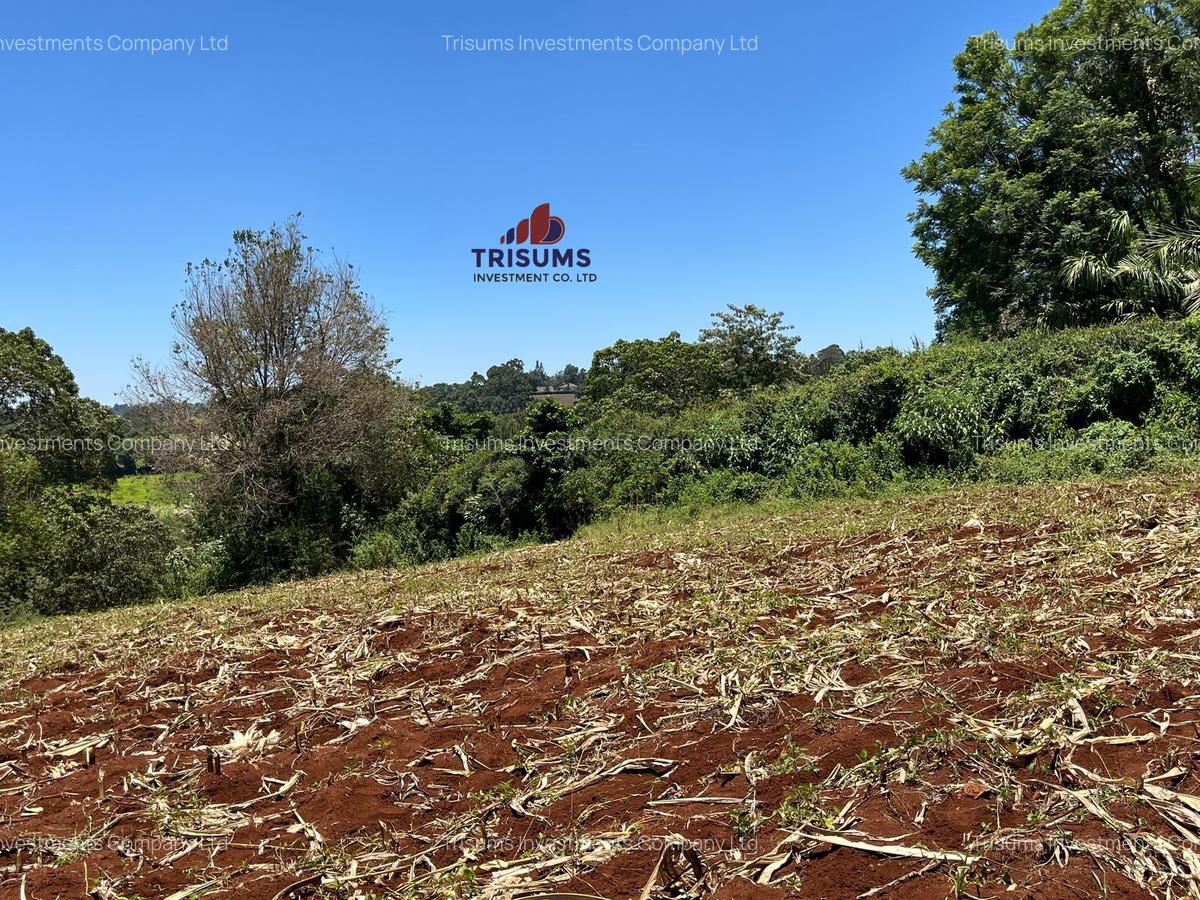 1.5 ac Land in Tigoni - 12