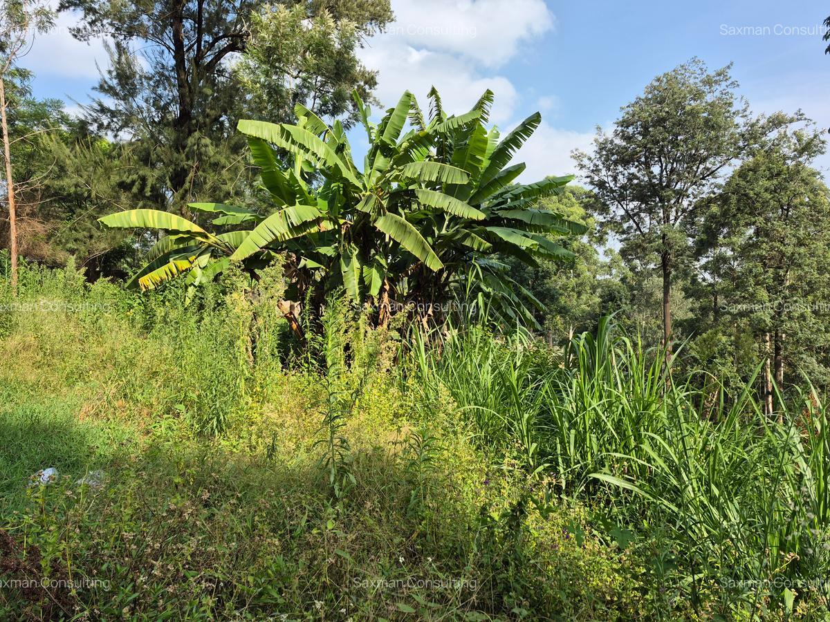 Land in Kitisuru - 12