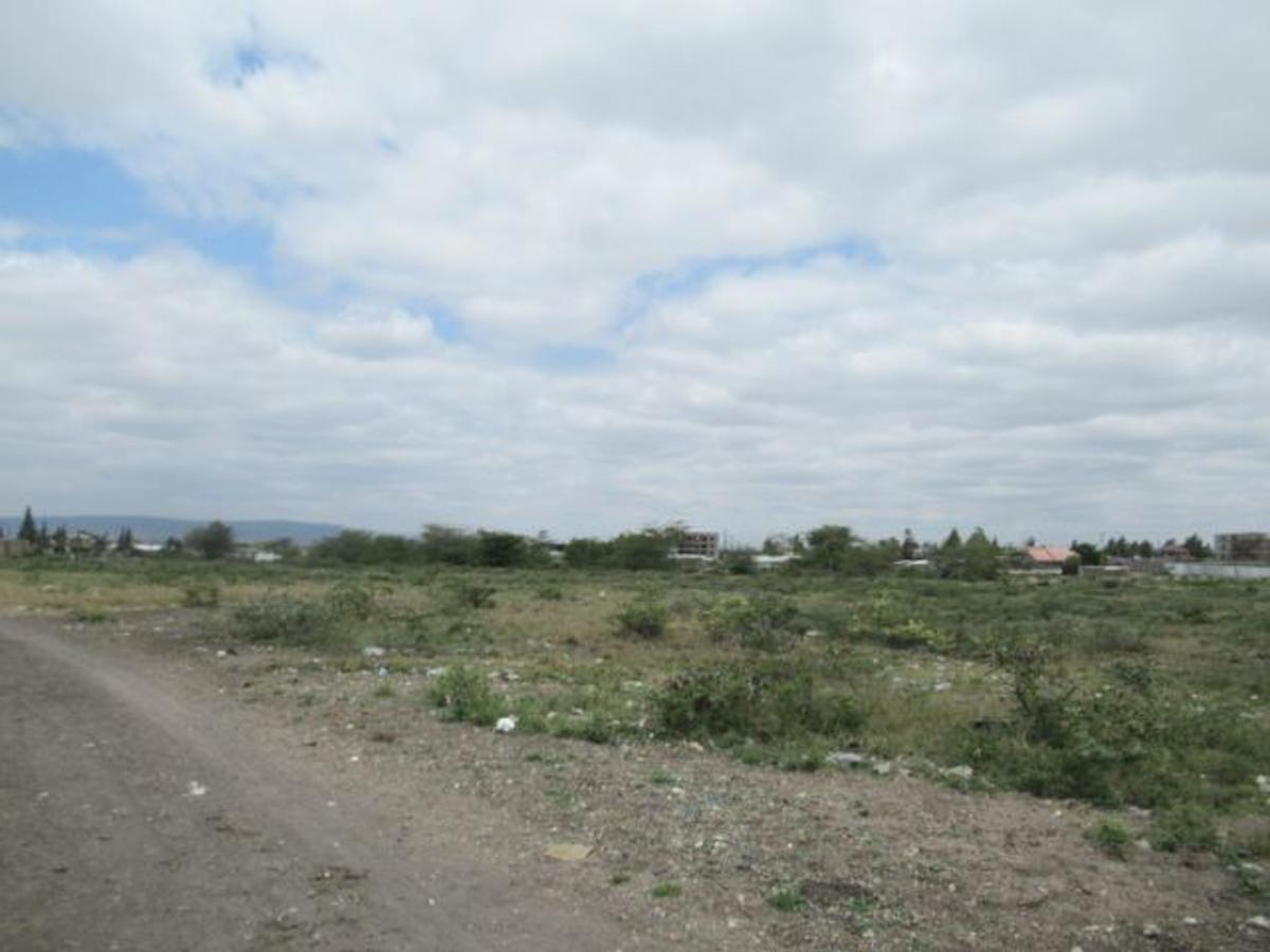 Residential Land at Kitengela - 13