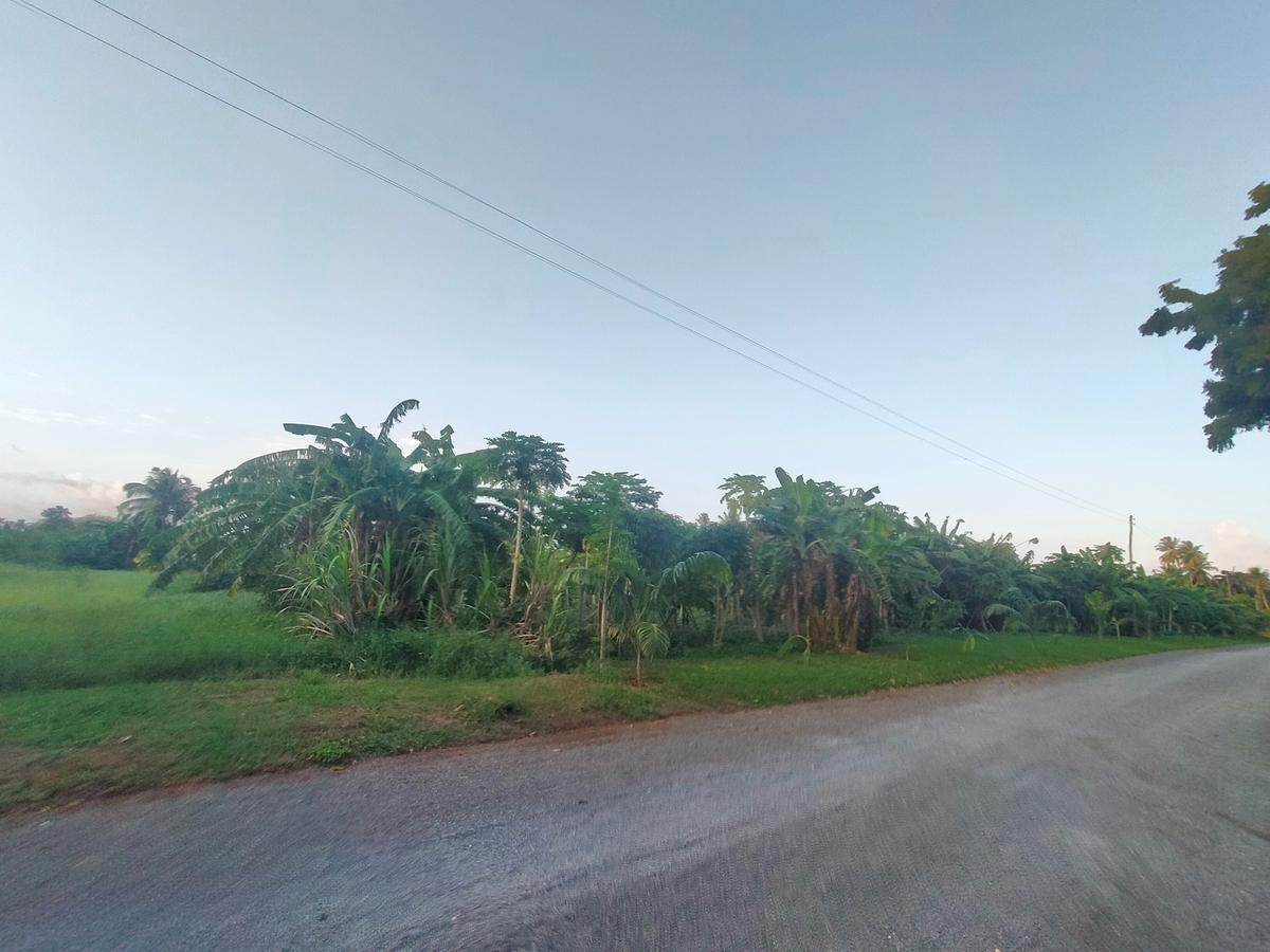 Residential Land in Nyali Area - 4