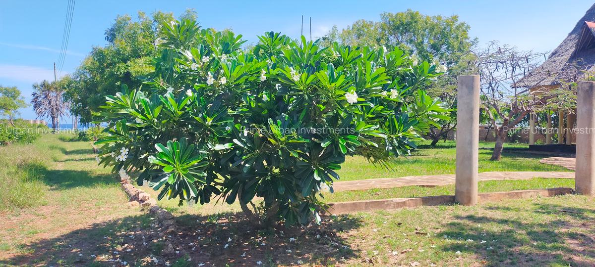 Land in Mtwapa - 17