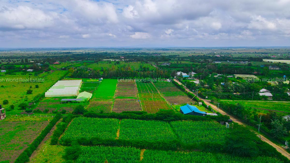 Residential Land in Naivasha - 3