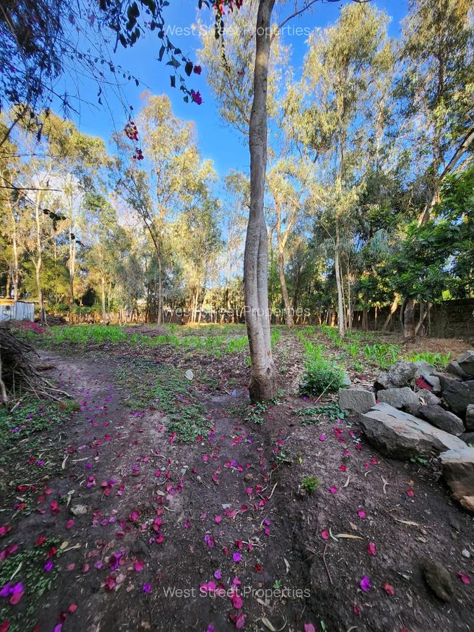 4 Bed Townhouse with En Suite in Karen - 8