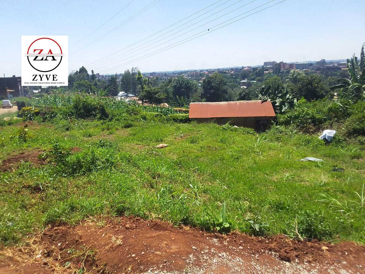 0.25 ac Land at Rwaka - 1