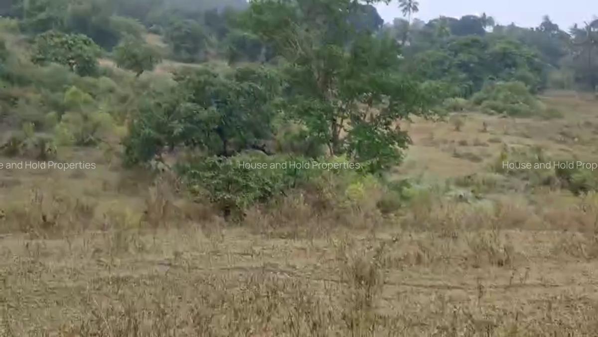 2.8 ha Commercial Land at Tiwi - 10