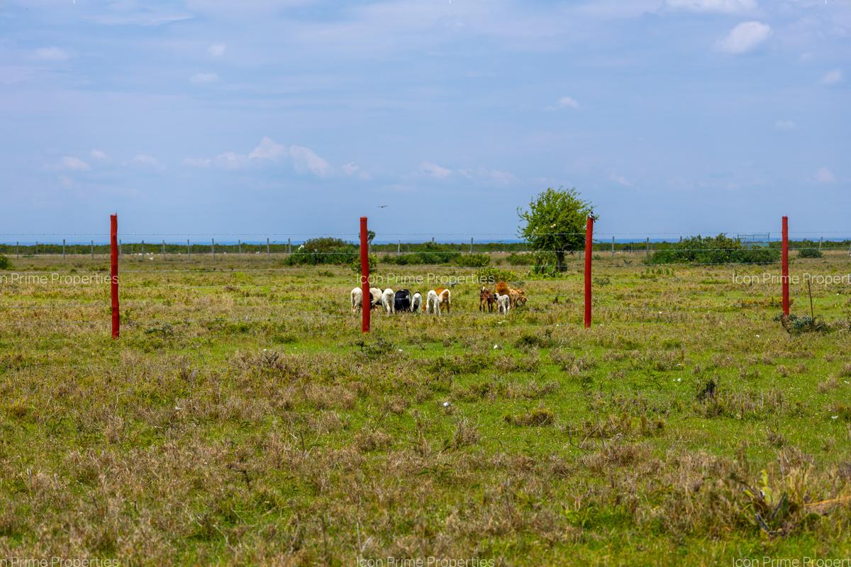 0.115 ac Land in Nanyuki - 4