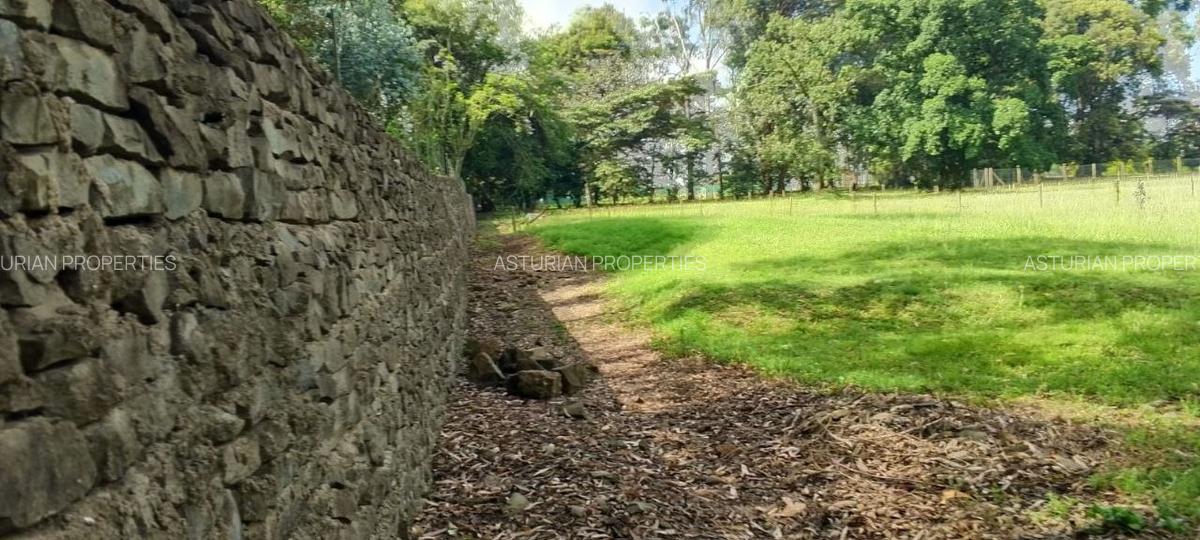 1 ac Land in Karen - 3