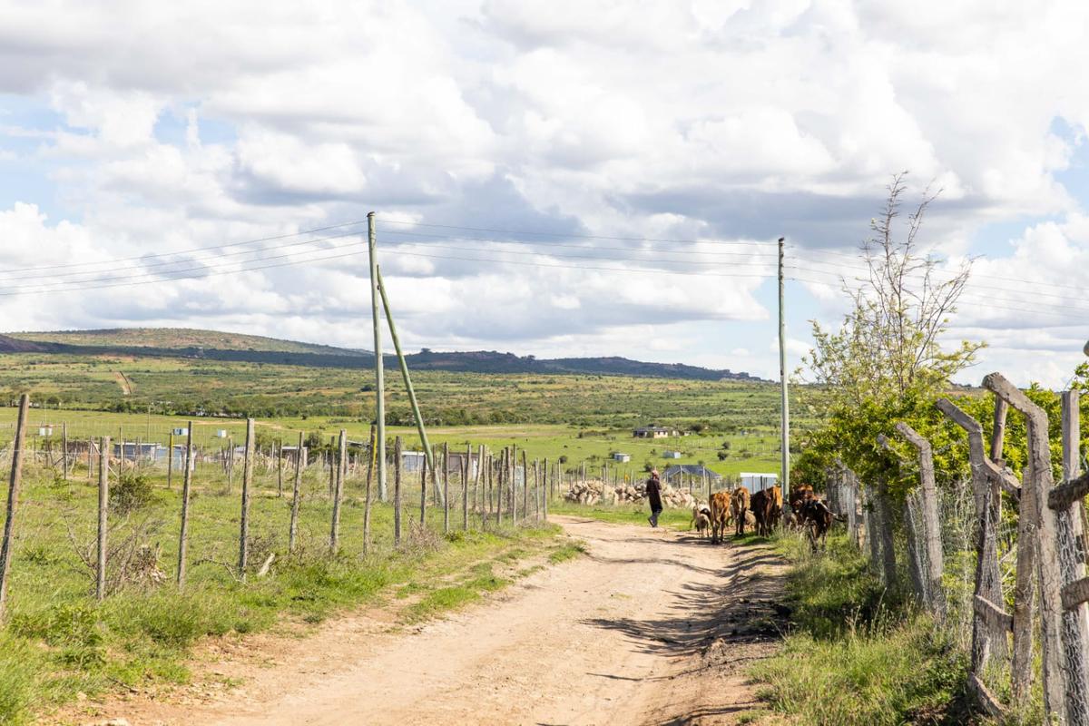 50,000 m² Residential Land at Kinanie - 4